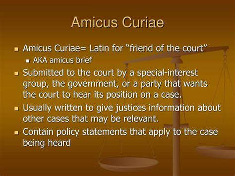 amicus curiae meaning in law